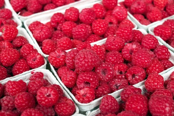 Serbia - raspberries