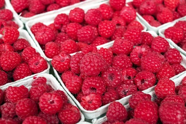 Serbia - raspberries
